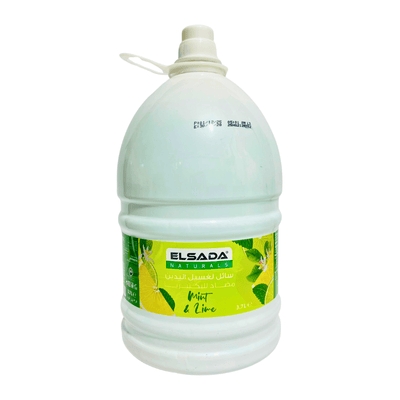 Elsada Antibacterial Mint & Lime 3.7L
