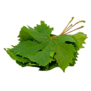 Dolma Leaves (ورق عنب)