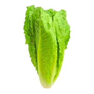 Lettuce (خس)