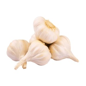Garlic (ثوم فلت)