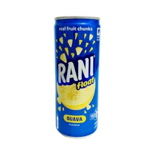 Rani Float Guava 240ml