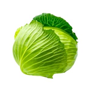 Cabbage (ملفوف)