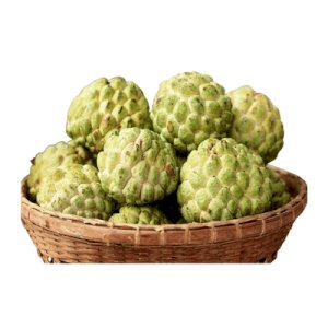 Annona muricata (قشطة)