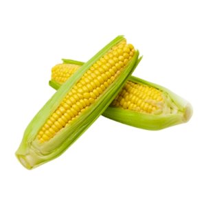 Corn (ذرة)
