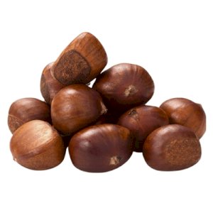 Chestnut (كستناء)