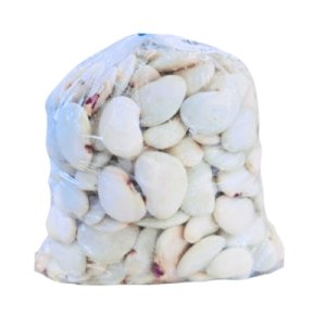 Broad Beans (فاصولياء عريضة)